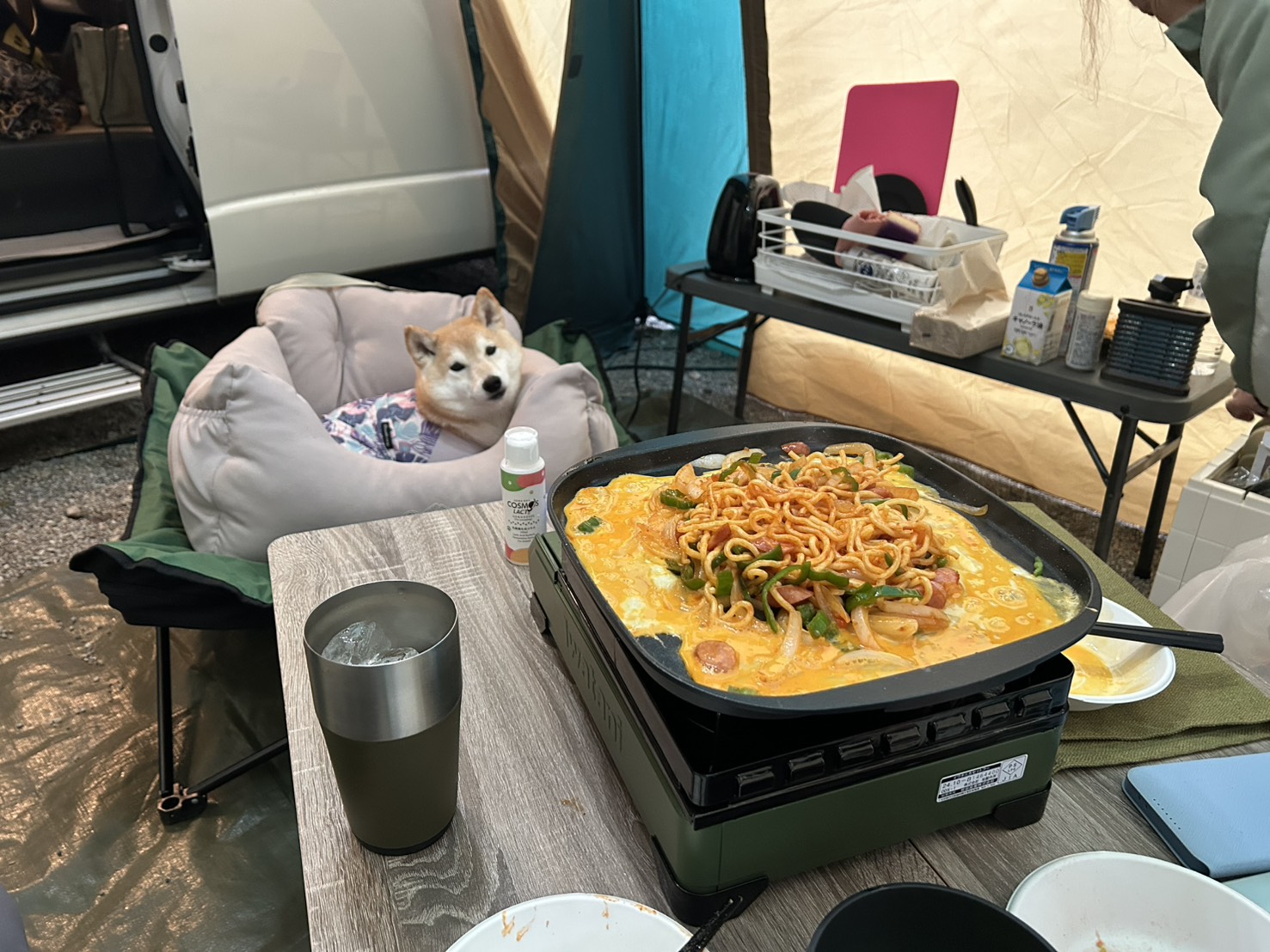 愛犬と